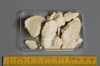 F 07453
<br/>
<br/>
<em></em>